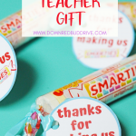 2-4-150x150-4 Smarties Teacher Gift