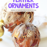 2-6-150x150-1 Feather Ornament DIY