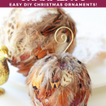 3-6-150x150-1 Feather Ornament DIY