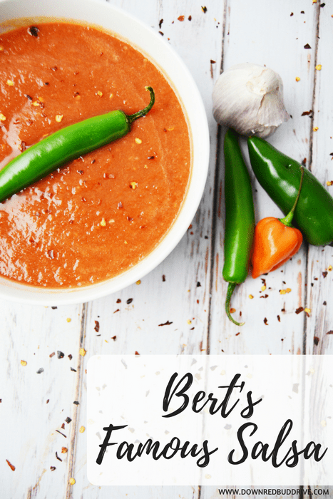 Bert's Famous Salsa