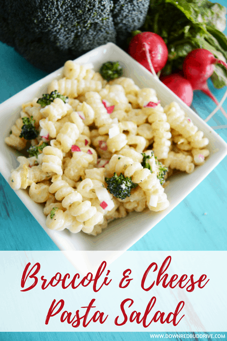 Broccoli & Cheese Pasta Salad