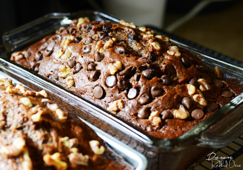chocolate-chip-banana-bread-1 fresh banana bread out of the oven