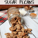 cinnamon-sugar-pecans-pinterest-1-150x150-1 cinnamon sugar pecans