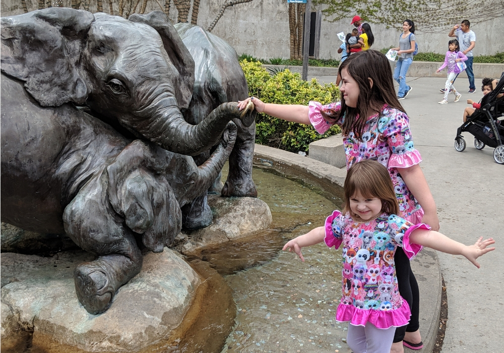 kids playing at the dallas zoo