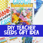 diy-teacher-seeds-gift-pin-1-150x150-1 DIY Teacher Seeds Gift