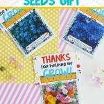 diy-teacher-seeds-gift-pin-2-150x150-1 DIY Teacher Seeds Gift