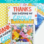 diy-teacher-seeds-gift-pin-4-150x150-1 DIY Teacher Seeds Gift