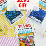 diy-teacher-seeds-gift-pin-5-150x150-1 DIY Teacher Seeds Gift