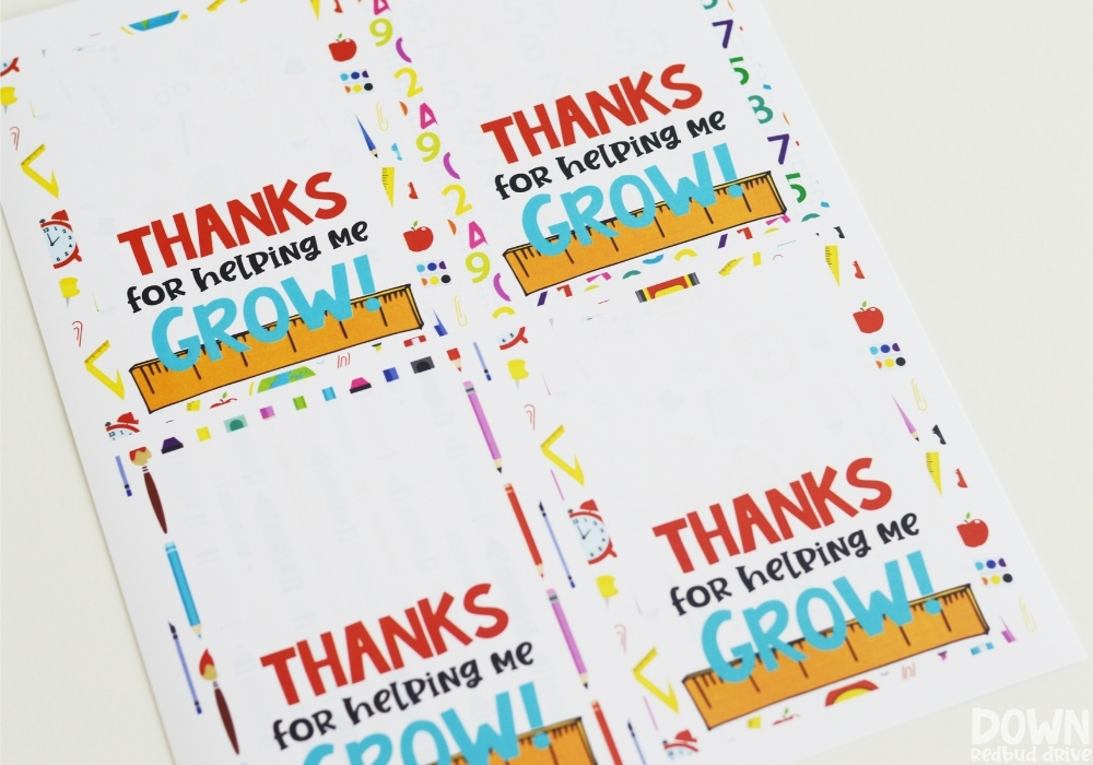 teacher-seeds-gift-wide-1 Overhead view of the printables for the teacher seeds gift.