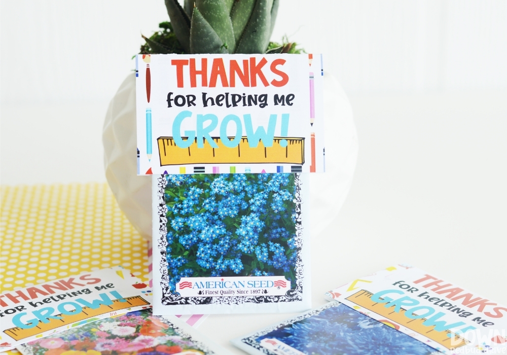 teacher-seeds-gift-wide-4 The finished teacher seeds gift that says, "Thanks for helping me grow!"