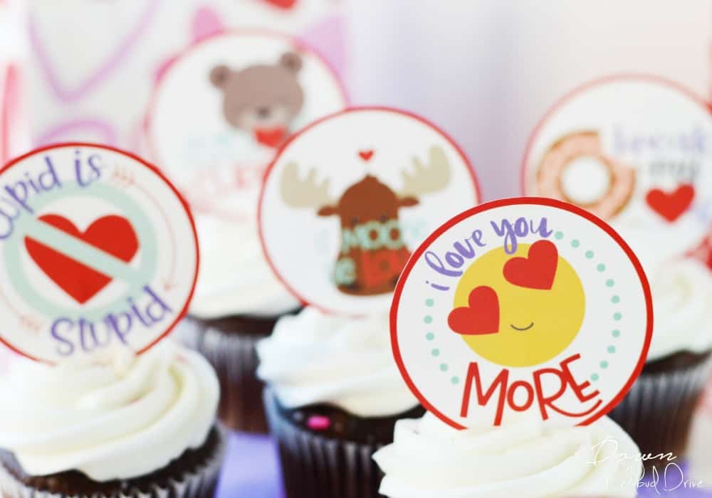 Valentine Cupcakes for Kids