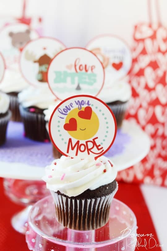 Valentine Cupcakes for Kids